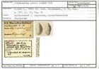Karteikarte zum Lectotyp von Polymorphina gravis Karrer, 1870